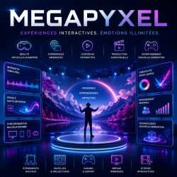 MEGAPYXEL INTERFACE